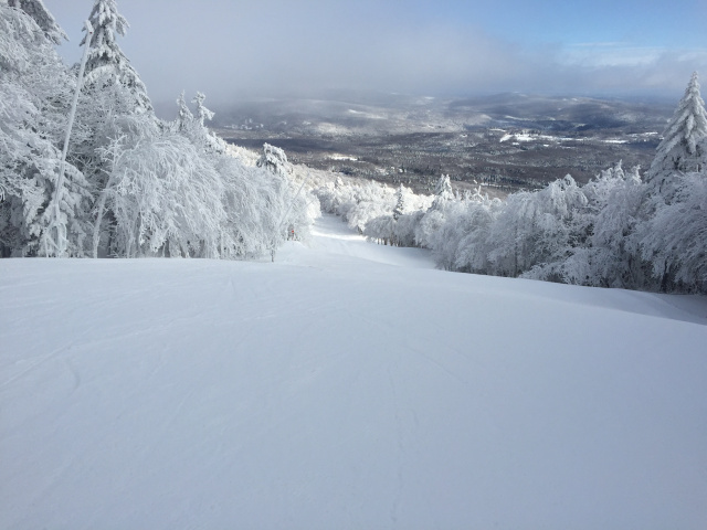 My special Christmas photo that I snapped last week on December 13, 2014.